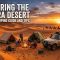 Exploring the Sahara Desert : Ultimate Camping Guide