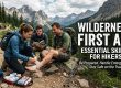 Wilderness First Aid : Essential Skills for Hikers