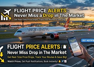 Flight Price Alerts : Never Miss a Drop in The Market